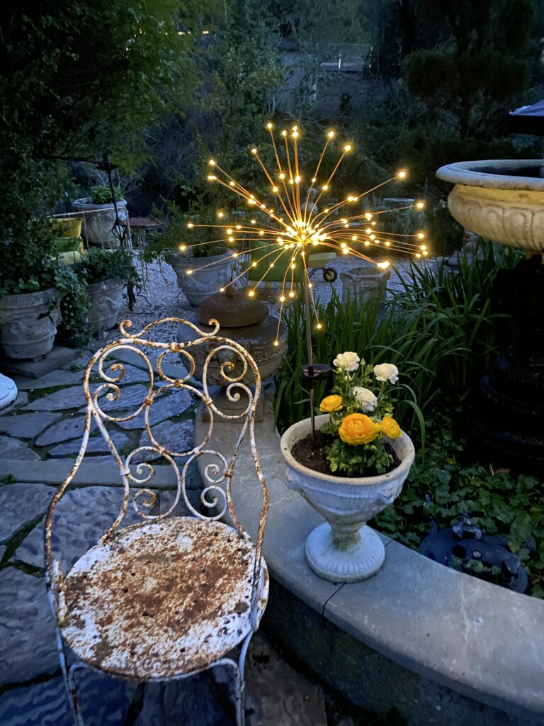 Lights in the Garden