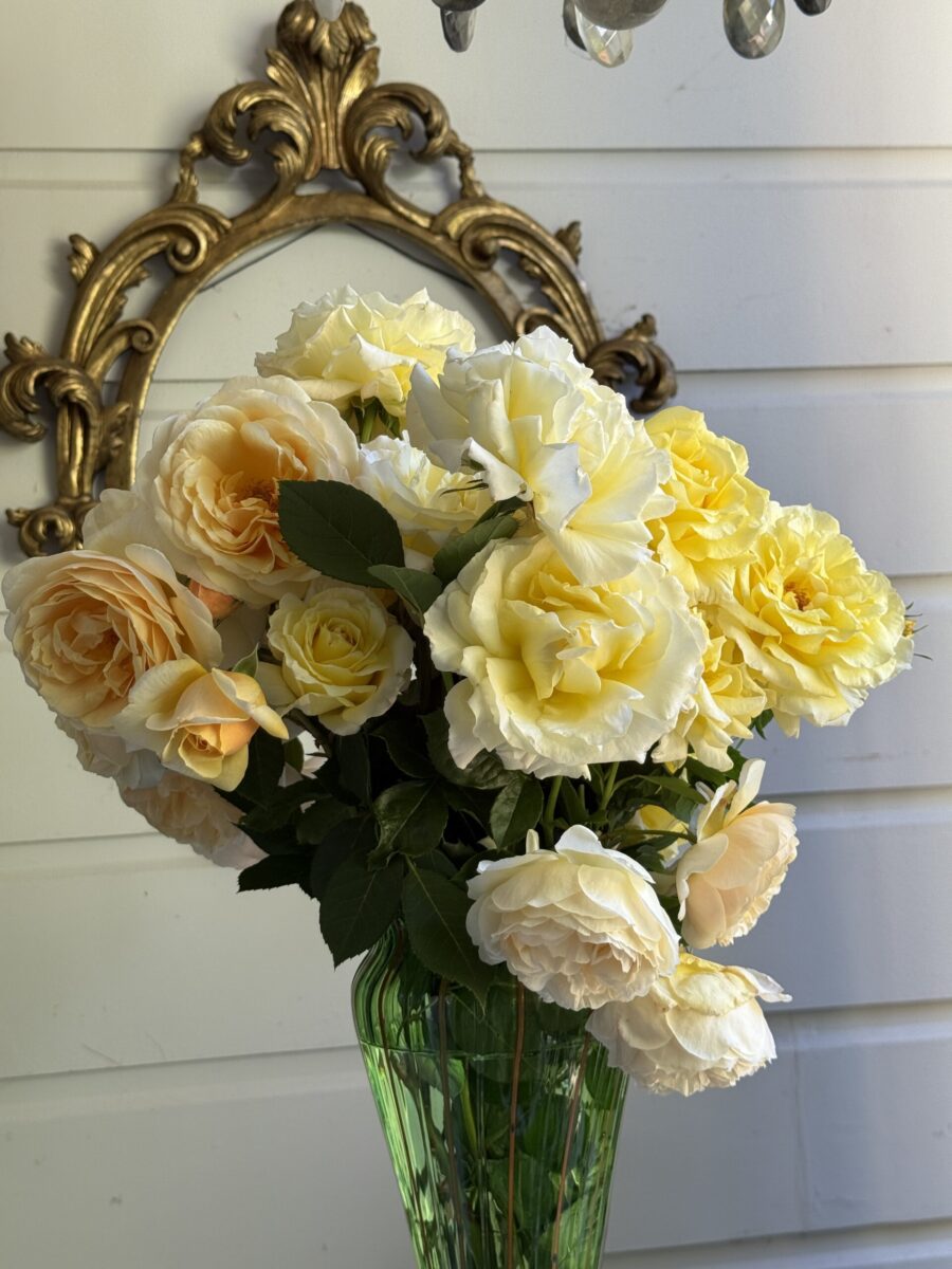 A JUNE POST.